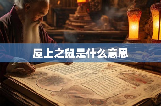 屋上之鼠是什么意思