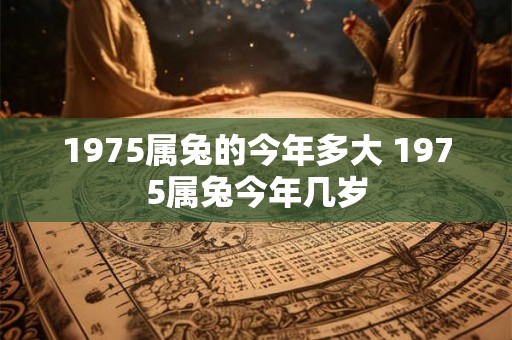 1975属兔的今年多大 1975属兔今年几岁