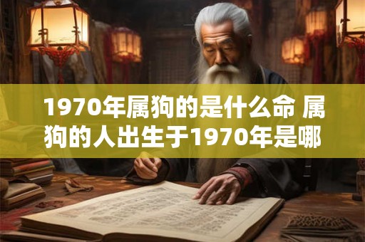 1970年属狗的是什么命 属狗的人出生于1970年是哪一年的生肖