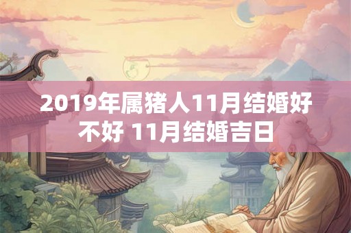 2019年属猪人11月结婚好不好 11月结婚吉日