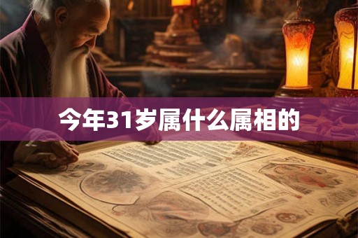 今年31岁属什么属相的