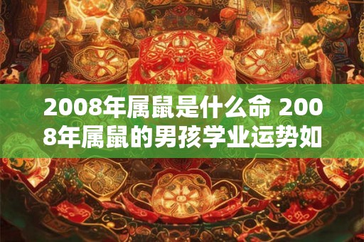 2008年属鼠是什么命 2008年属鼠的男孩学业运势如何