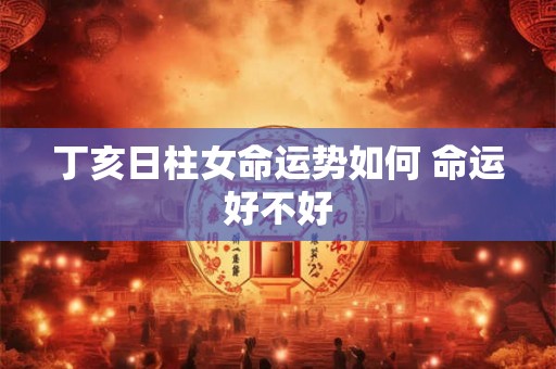 丁亥日柱女命运势如何 命运好不好