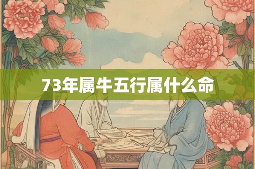 73年属牛五行属什么命