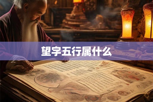 望字五行属什么