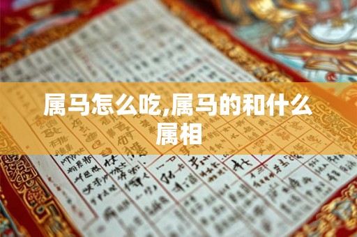 属马怎么吃,属马的和什么属相