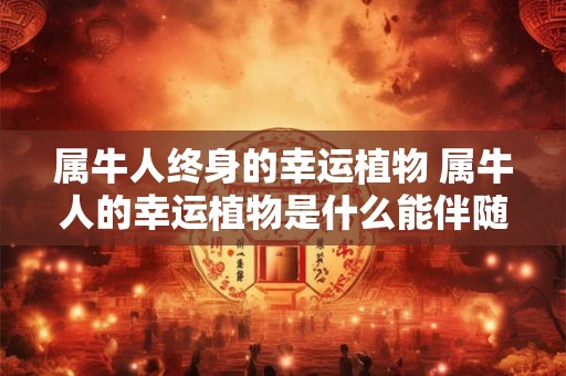 属牛人终身的幸运植物 属牛人的幸运植物是什么能伴随他们一生吗