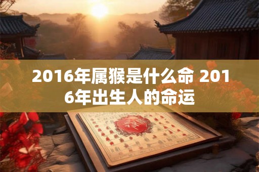 2016年属猴是什么命 2016年出生人的命运