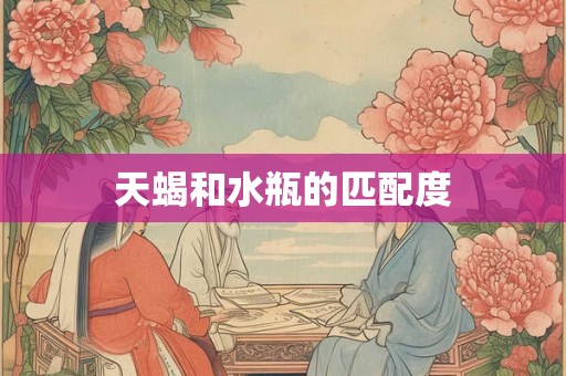 天蝎和水瓶的匹配度