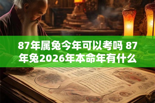87年属兔今年可以考吗 87年兔2026年本命年有什么禁忌
