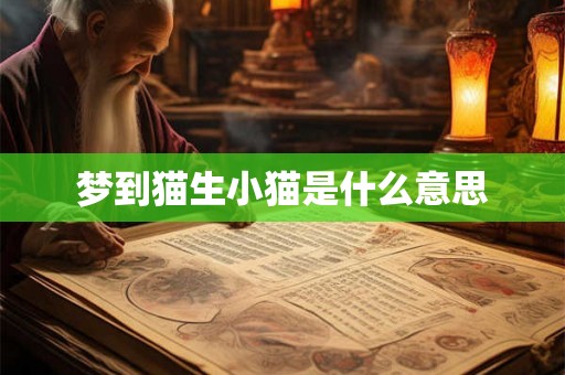 梦到猫生小猫是什么意思 梦到猫生小猫是什么意思