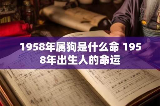 1958年属狗是什么命 1958年出生人的命运
