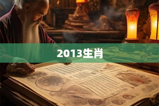 2013生肖 2013生肖