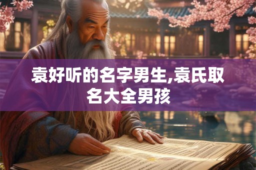 袁好听的名字男生,袁氏取名大全男孩