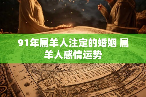 91年属羊人注定的婚姻 属羊人感情运势