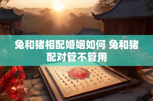 兔和猪相配婚姻如何 兔和猪配对管不管用 兔和猪相配婚姻如何 兔和猪配对管不管用