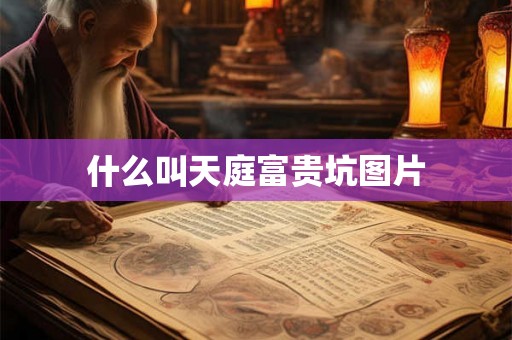 什么叫天庭富贵坑图片 什么叫天庭富贵坑图片