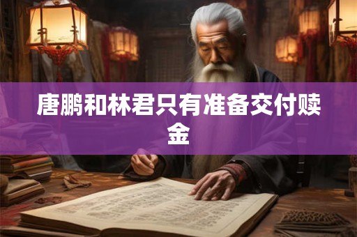 唐鹏和林君只有准备交付赎金 唐鹏和林君只有准备交付赎金