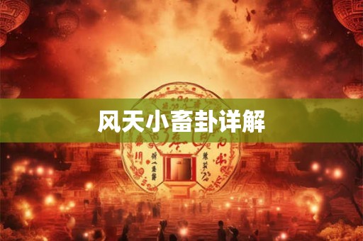 风天小畜卦详解