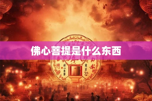 佛心菩提是什么东西 佛心菩提是什么东西