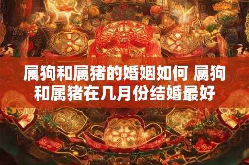 属狗和属猪的婚姻如何 属狗和属猪在几月份结婚最好