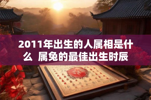 2011年出生的人属相是什么  属兔的最佳出生时辰