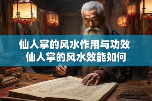仙人掌的风水作用与功效 仙人掌的风水效能如何 仙人掌的风水作用与功效 仙人掌的风水效能如何