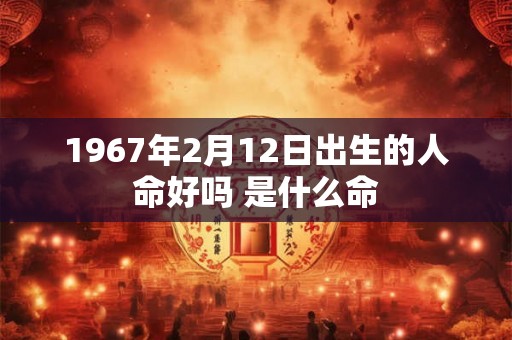 1967年2月12日出生的人命好吗 是什么命