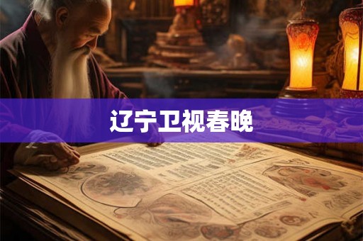辽宁卫视春晚