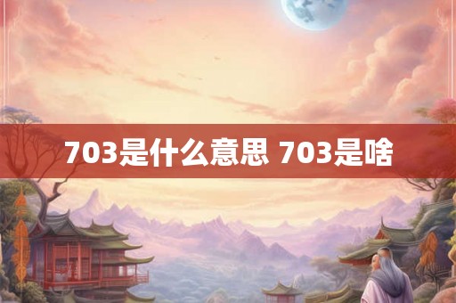 703是什么意思 703是啥