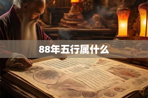 88年五行属什么