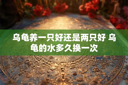 乌龟养一只好还是两只好 乌龟的水多久换一次 乌龟养一只好还是两只好 乌龟的水多久换一次
