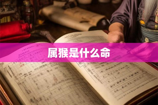 属猴是什么命