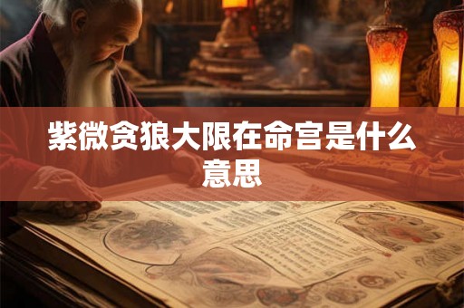 紫微贪狼大限在命宫是什么意思