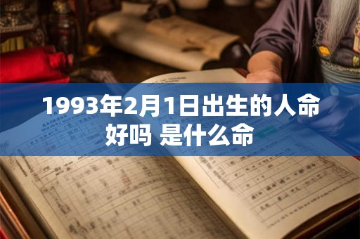 1993年2月1日出生的人命好吗 是什么命 1993年2月1日出生的人命好吗 是什么命