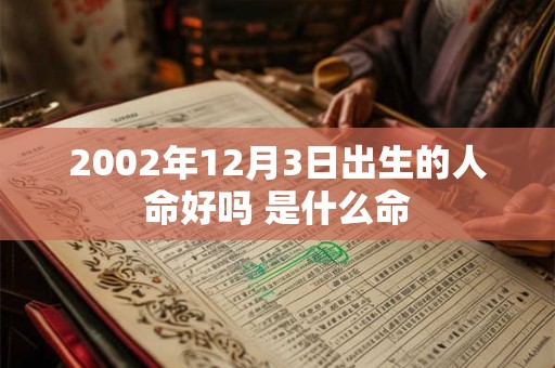 2002年12月3日出生的人命好吗 是什么命