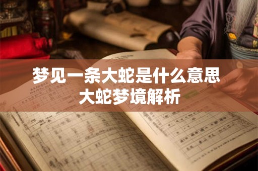 梦见一条大蛇是什么意思 大蛇梦境解析 梦见一条大蛇是什么意思 大蛇梦境解析