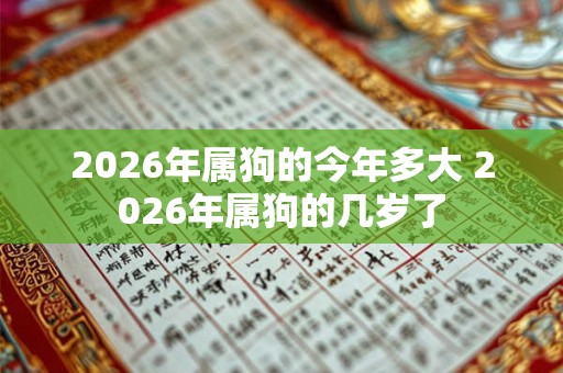 2026年属狗的今年多大 2026年属狗的几岁了