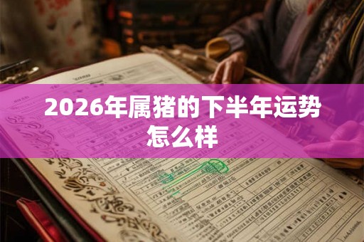 2026年属猪的下半年运势怎么样