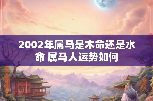 2002年属马是木命还是水命 属马人运势如何