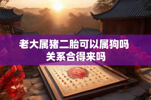 老大属猪二胎可以属狗吗 关系合得来吗