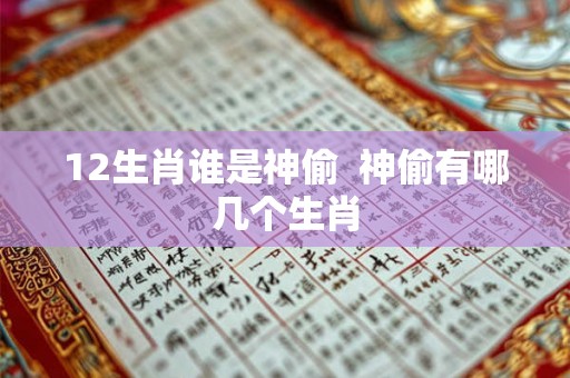 12生肖谁是神偷  神偷有哪几个生肖