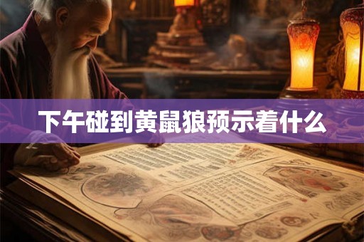 下午碰到黄鼠狼预示着什么