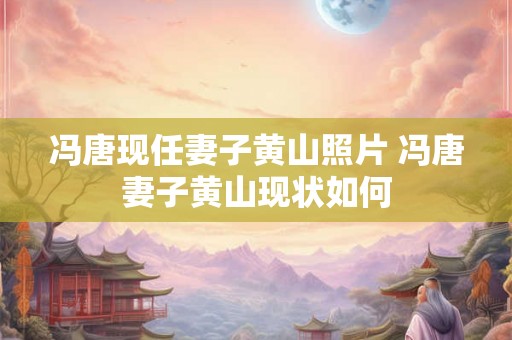 冯唐现任妻子黄山照片 冯唐妻子黄山现状如何 冯唐现任妻子黄山照片 冯唐妻子黄山现状如何