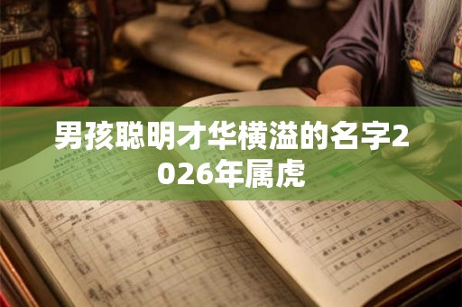 男孩聪明才华横溢的名字2026年属虎