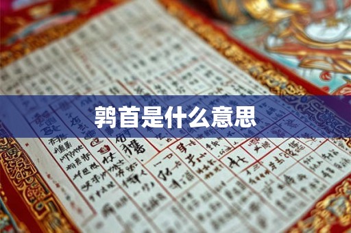 鹑首是什么意思 鹑首是什么意思