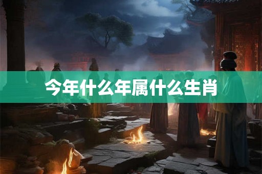 今年什么年属什么生肖