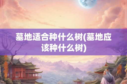 墓地适合种什么树(墓地应该种什么树)