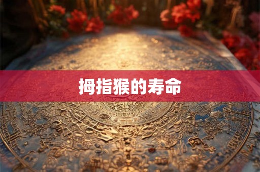 拇指猴的寿命