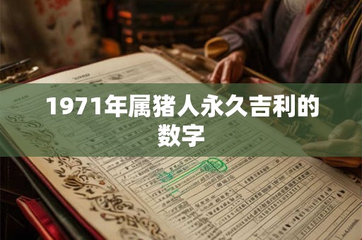 1971年属猪人永久吉利的数字